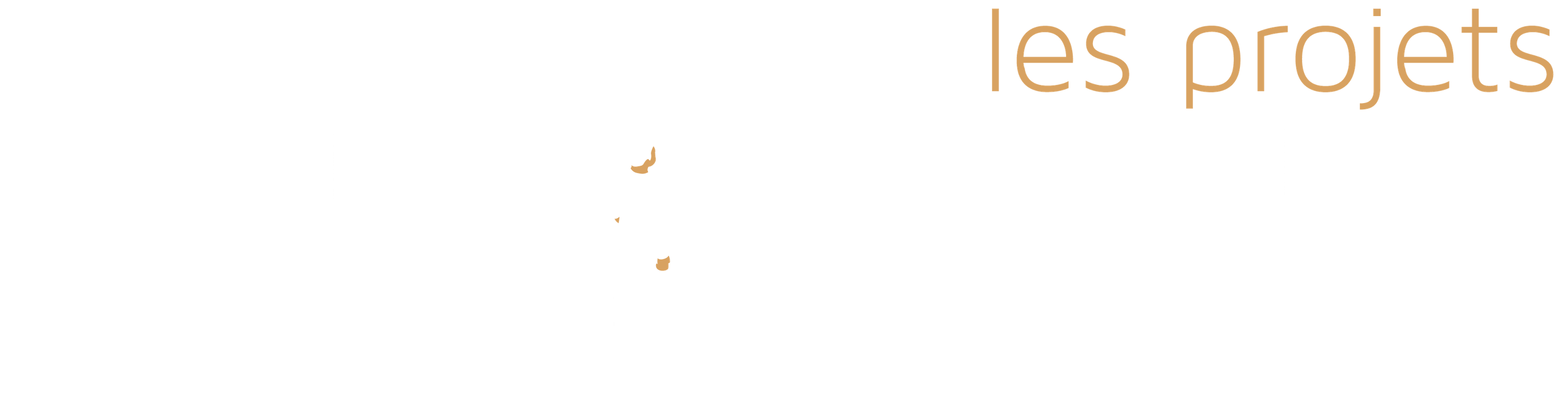Logo - The Audacious Projects
